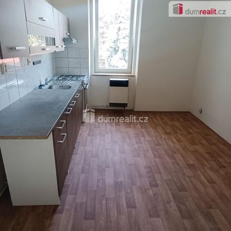 Pronájem bytu 1+1, Děčín - Děčín VI-Letná, Fibichova, 44 m2