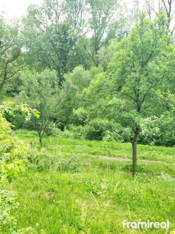 Prodej zahrady, Zbraslav, 4107 m2