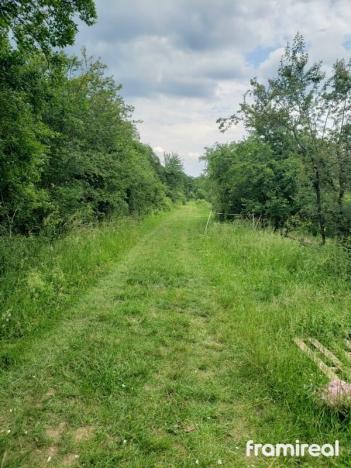 Prodej zahrady, Zbraslav, 4107 m2