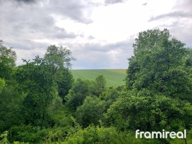 Prodej zahrady, Zbraslav, 4107 m2