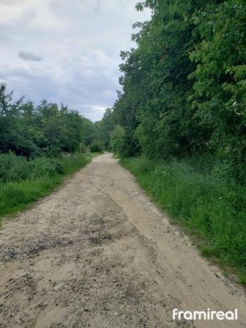 Prodej zahrady, Zbraslav, 4107 m2