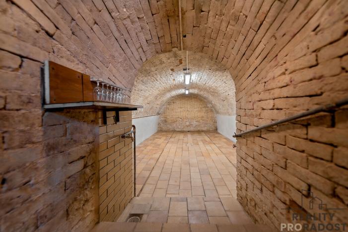 Prodej vinného sklepa, Velké Bílovice, 82 m2