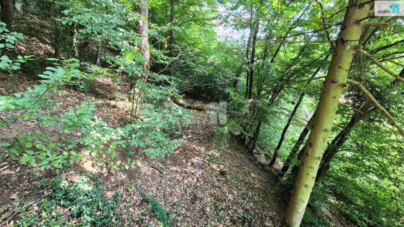 Prodej chaty, Salaš, 36 m2