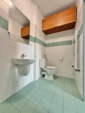 Pronájem bytu 2+1, Opava - Předměstí, Hviezdoslavova, 65 m2