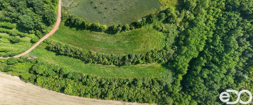 Prodej podílu 1/4 pozemku, Bechlín, 14560 m2