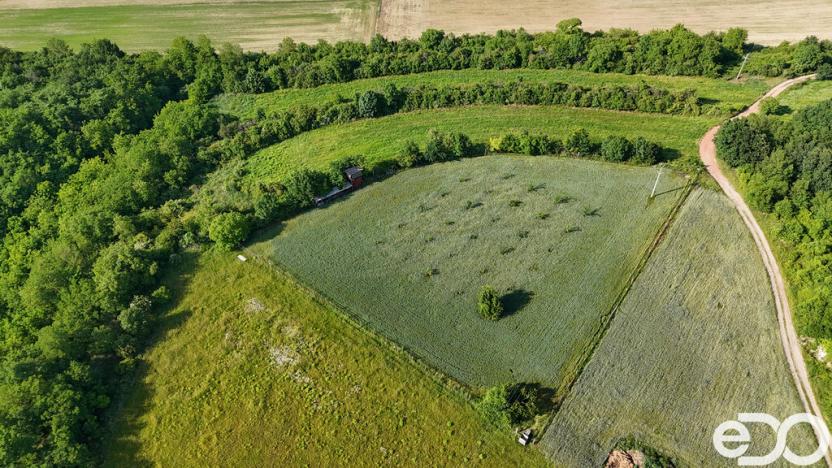 Prodej podílu 1/4 pozemku, Bechlín, 14560 m2