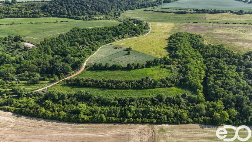 Prodej podílu 1/4 pozemku, Bechlín, 14560 m2