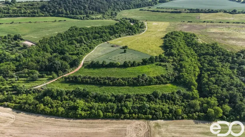 Prodej podílu 1/4 pozemku, Bechlín, 14560 m2