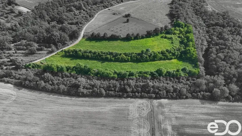 Prodej podílu 1/4 pozemku, Bechlín, 14560 m2