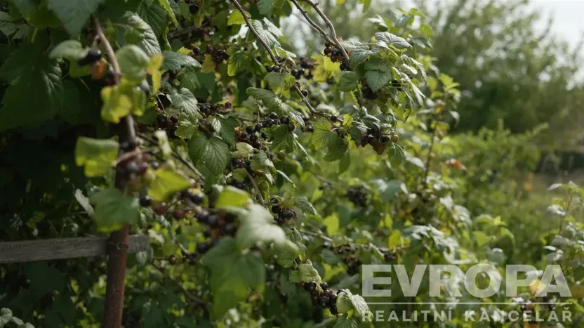 Prodej chaty, Ždírec, č.ev., 84 m2