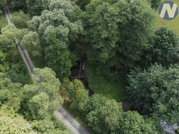 Prodej rybníku, Planá, 1939 m2