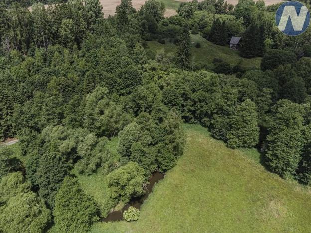 Prodej rybníku, Planá, 1939 m2