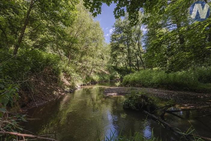 Prodej rybníku, Planá, 1939 m2