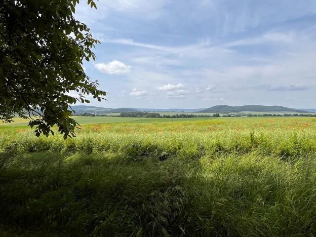 Prodej zemědělské usedlosti, Gruna, 851 m2