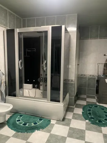 Prodej rodinného domu, Frýdek-Místek, Palkovická, 198 m2