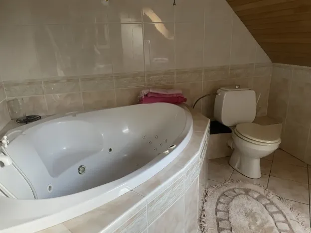 Prodej rodinného domu, Frýdek-Místek, Palkovická, 198 m2