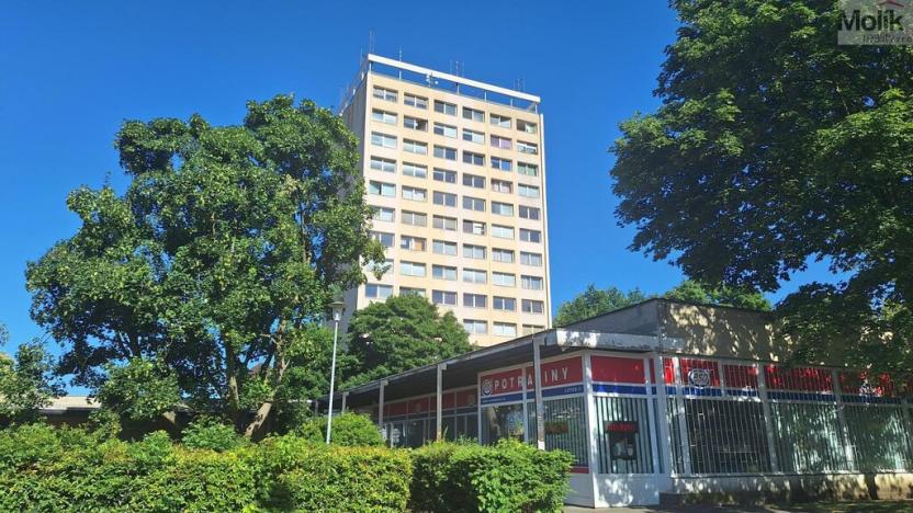 Pronájem bytu 1+1, Teplice - Řetenice, Bratislavská, 41 m2