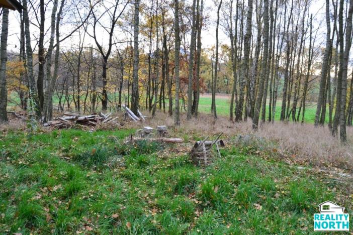 Prodej podílu 49/100 pozemku, Stráž pod Ralskem, 11599 m2