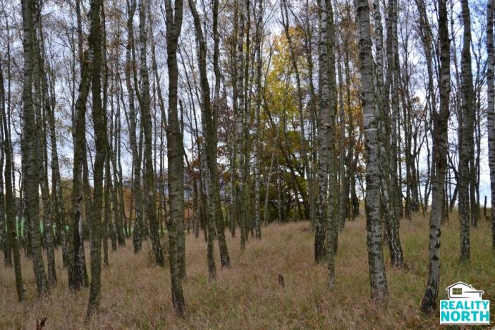 Prodej podílu 49/100 pozemku, Stráž pod Ralskem, 11599 m2