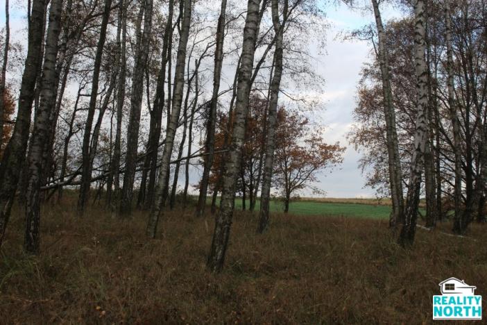 Prodej podílu 49/100 pozemku, Stráž pod Ralskem, 11599 m2