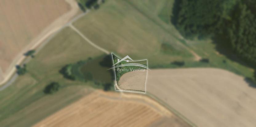 Prodej louky, Třebětín, Třebětín, 6373 m2