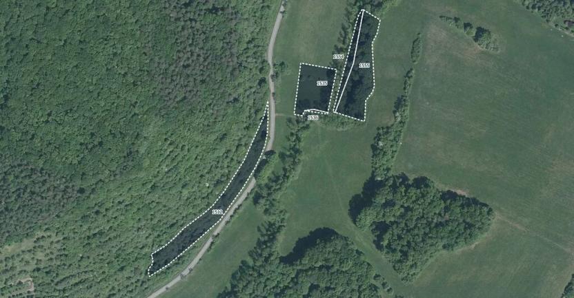 Prodej louky, Bojkovice, 27635 m2