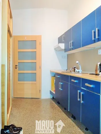 Pronájem bytu 1+kk, Praha - Nusle, Doudlebská, 32 m2