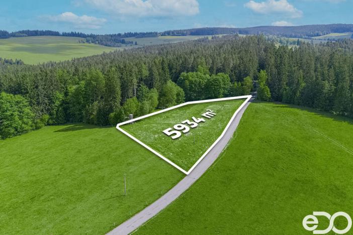 Prodej pozemku pro bydlení, Frymburk, 5934 m2