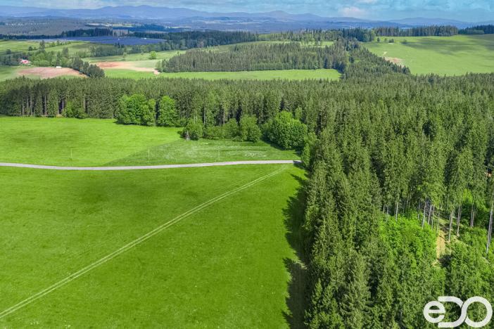 Prodej pozemku pro bydlení, Frymburk, 5934 m2