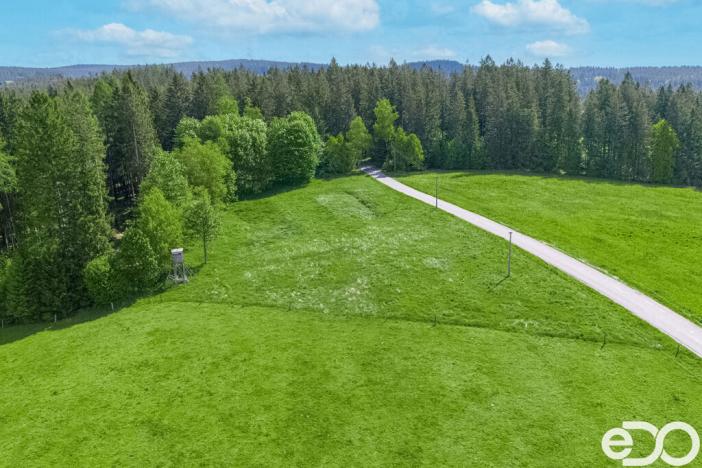 Prodej pozemku pro bydlení, Frymburk, 5934 m2