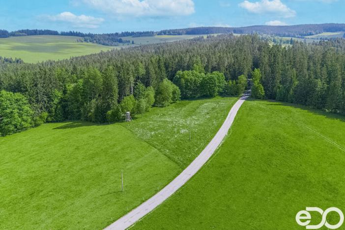 Prodej pozemku pro bydlení, Frymburk, 5934 m2