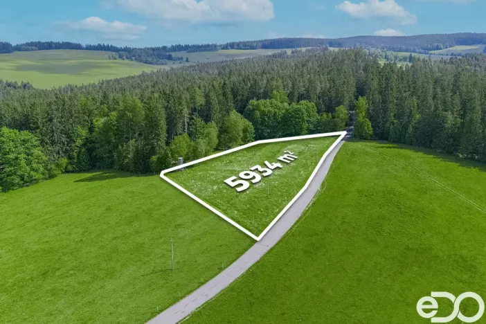Prodej pozemku pro bydlení, Frymburk, 5934 m2