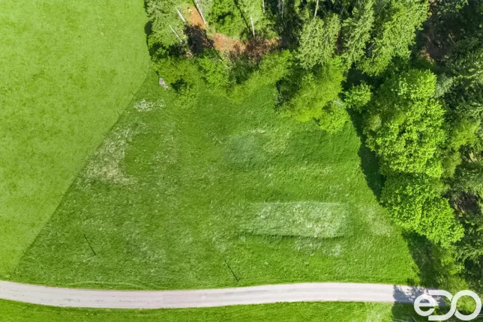 Prodej pozemku pro bydlení, Frymburk, 5934 m2