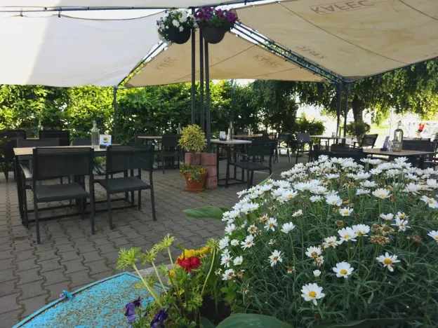 Prodej rodinného domu, Uherské Hradiště, Moravní náměstí, 400 m2