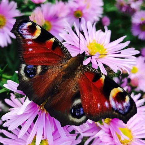 Prodej chalupy, Bílá, 100 m2