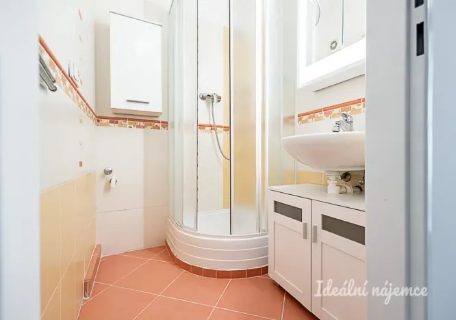 Pronájem bytu 2+kk, Praha, Štichova, 42 m2