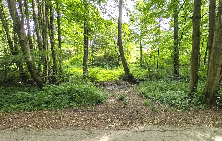 Prodej pozemku, Vizovice, 32591 m2