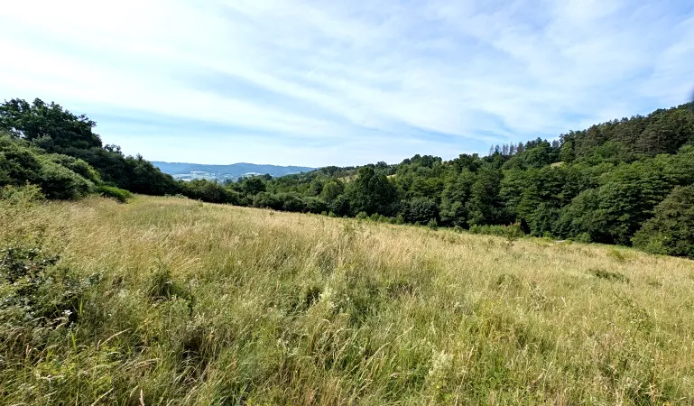 Prodej pozemku, Vizovice, 32591 m2