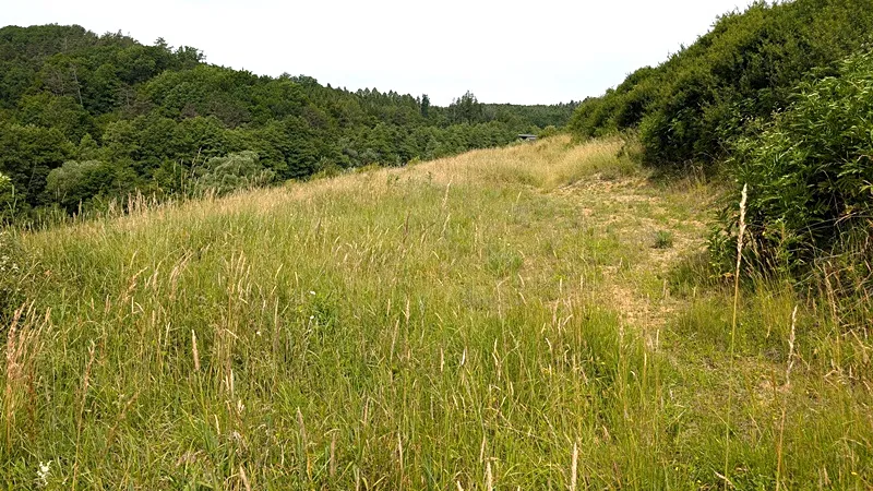 Prodej pozemku, Vizovice, 32591 m2