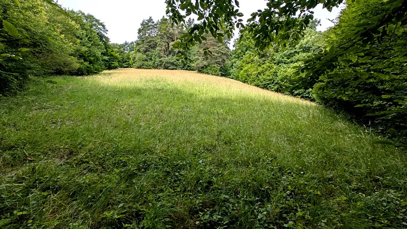 Prodej pozemku, Vizovice, 32591 m2