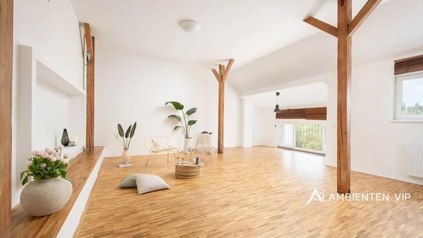 Prodej bytu 6+kk a větší, Brno, Čápkova, 195 m2