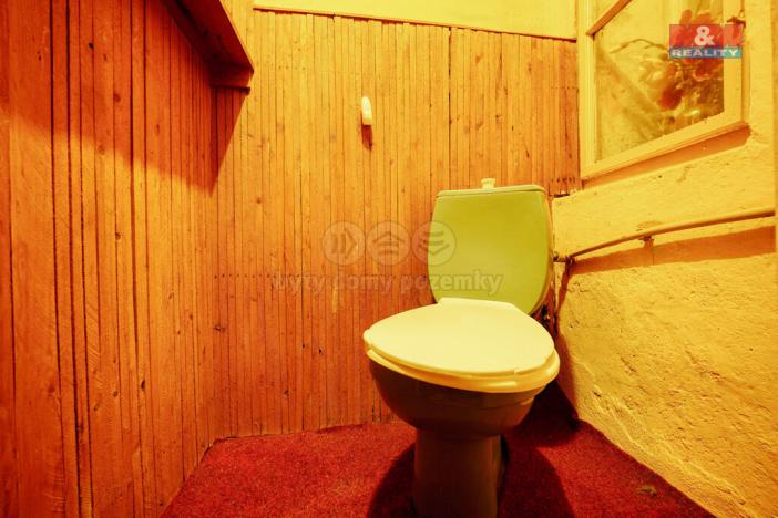 Prodej bytu 2+1, Plzeň - Východní Předměstí, Božkovská, 63 m2