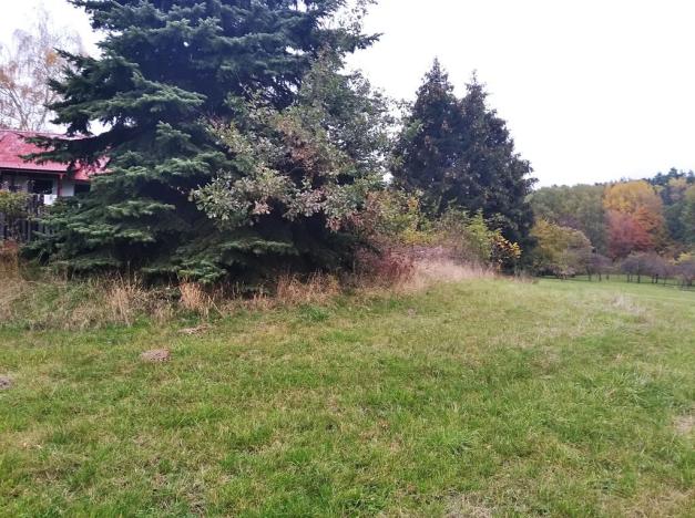 Prodej - jiné, Bílá, 9724 m2