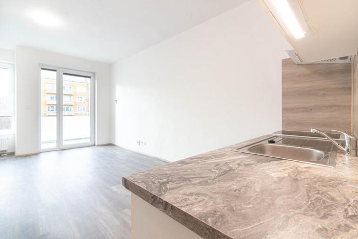 Pronájem bytu 1+kk, Olomouc, Wolkerova, 30 m2
