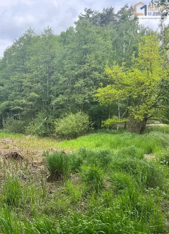 Prodej lesa, Lodhéřov, 8015 m2