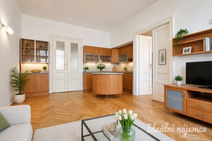 Pronájem bytu 3+kk, Brno - Staré Brno, Bezručova, 85 m2