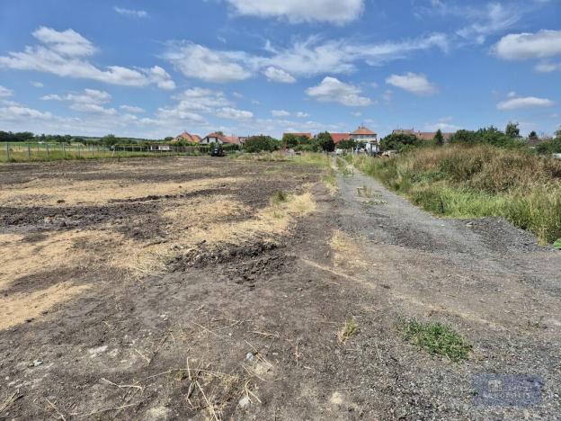 Prodej pozemku pro bydlení, Dolní Dunajovice, Pálavská, 1250 m2