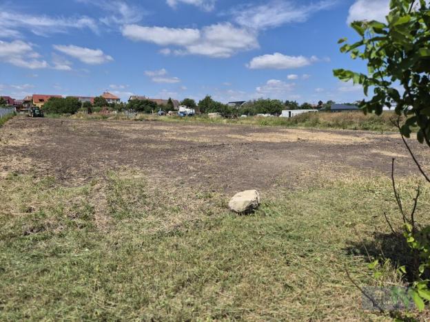 Prodej pozemku pro bydlení, Dolní Dunajovice, Pálavská, 1250 m2