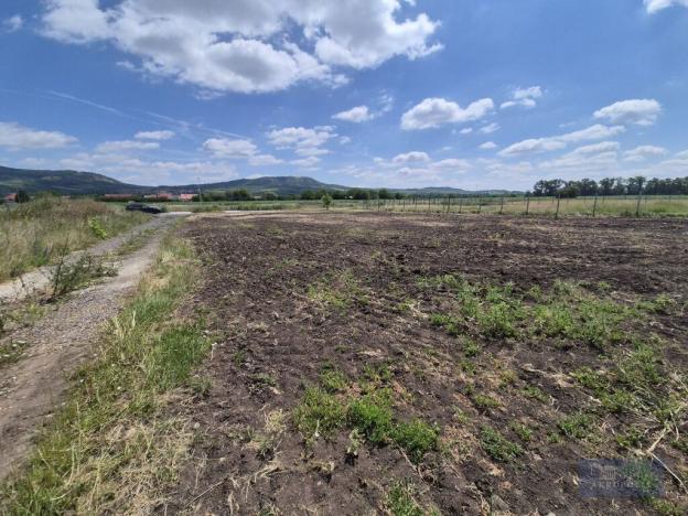 Prodej pozemku pro bydlení, Dolní Dunajovice, Pálavská, 1250 m2