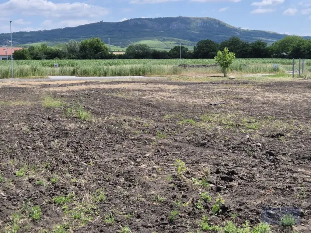 Prodej pozemku pro bydlení, Dolní Dunajovice, Pálavská, 631 m2